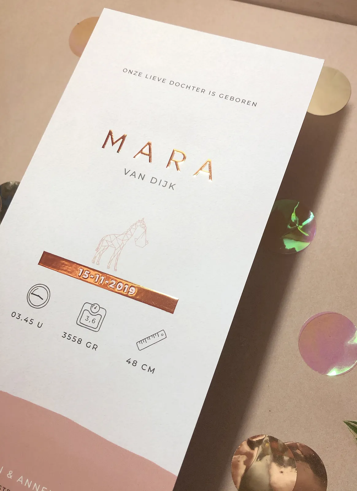 mara2.jpg