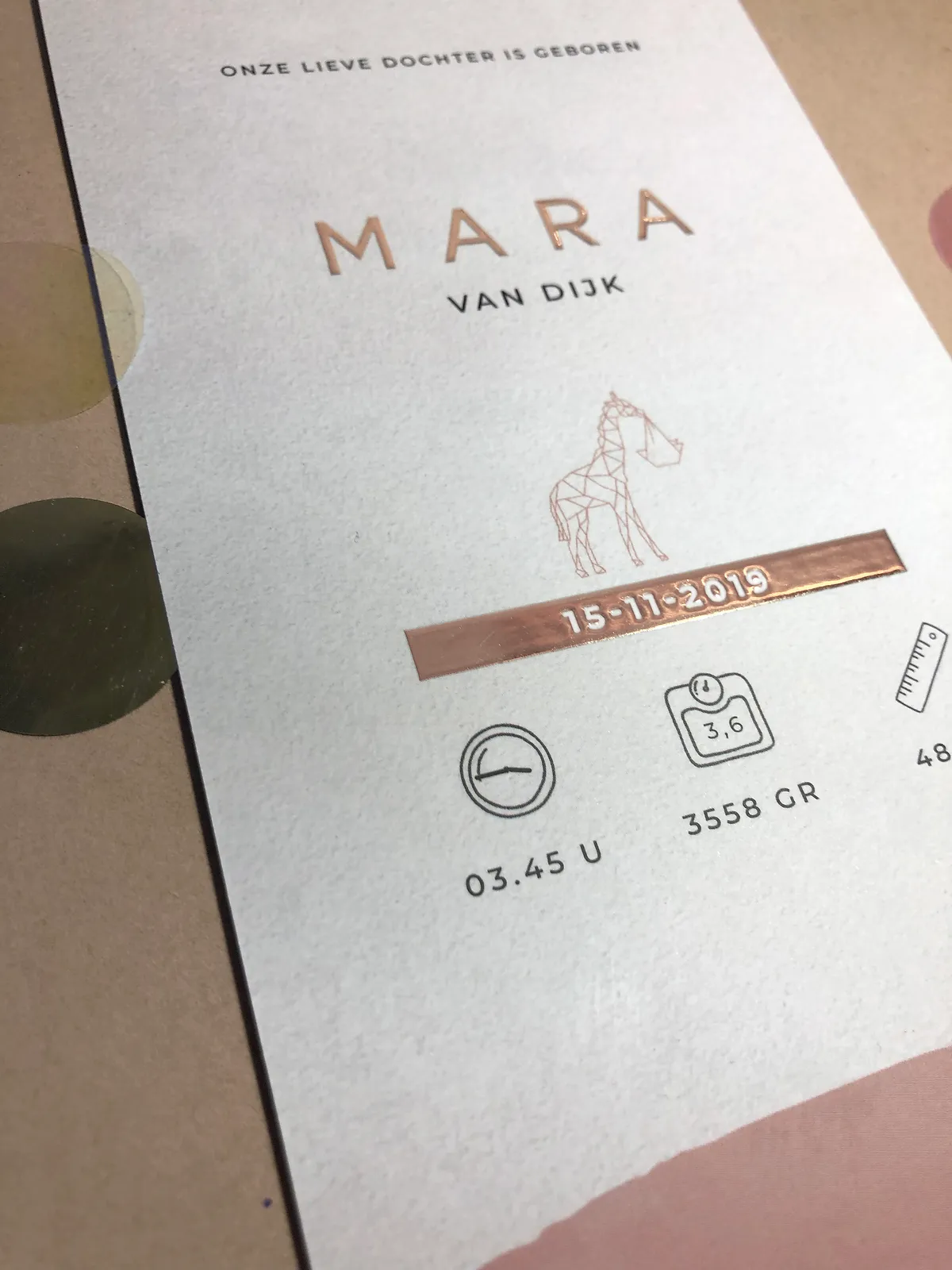 mara9.jpg