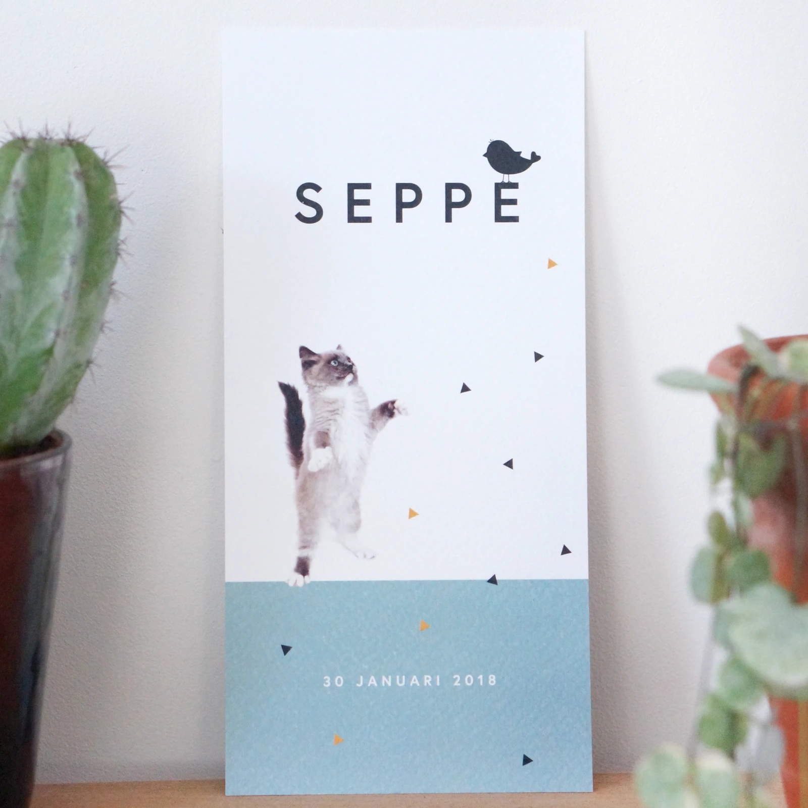 Seppe5.jpg
